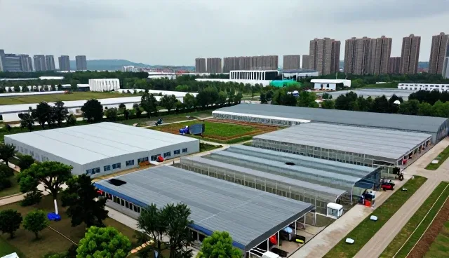 绿化设计在不同气候条件下的性能表现分析
